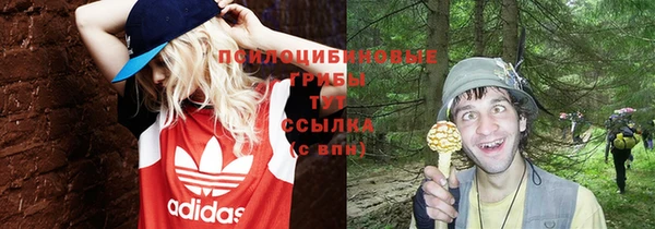 ПСИЛОЦИБИНОВЫЕ ГРИБЫ Алексин