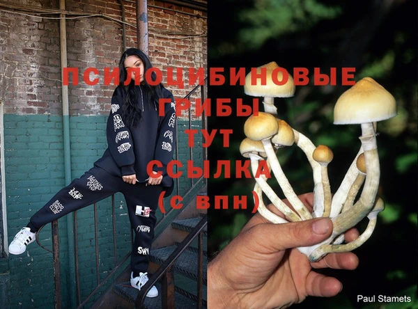 ПСИЛОЦИБИНОВЫЕ ГРИБЫ Алексин