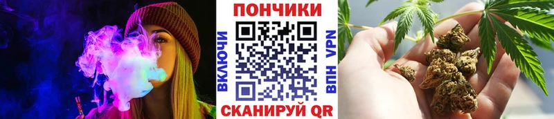 Шишки марихуана семена  Анжеро-Судженск 